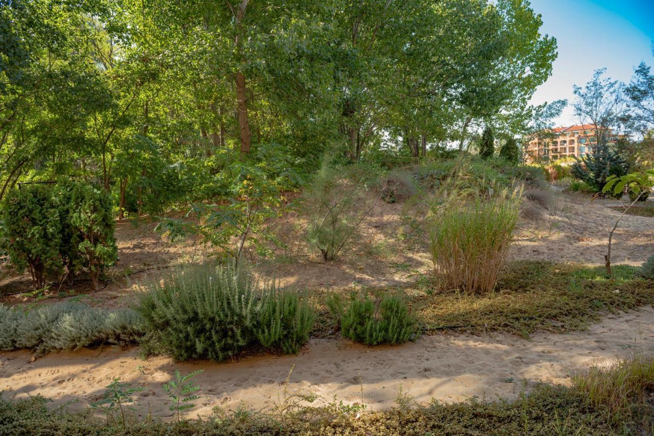 Menada Dune Residence Apartments Napospart Kültér fotó